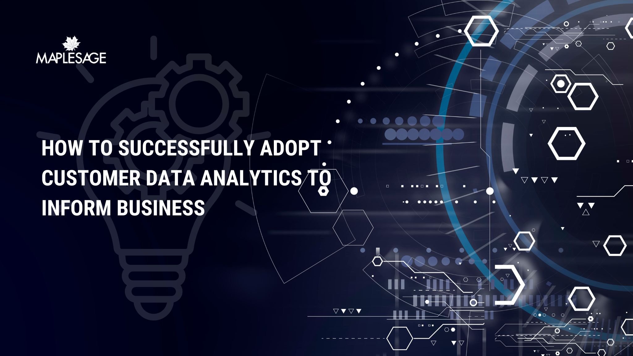 How To Successfully Adopt Customer Data Analytics To Inform Business