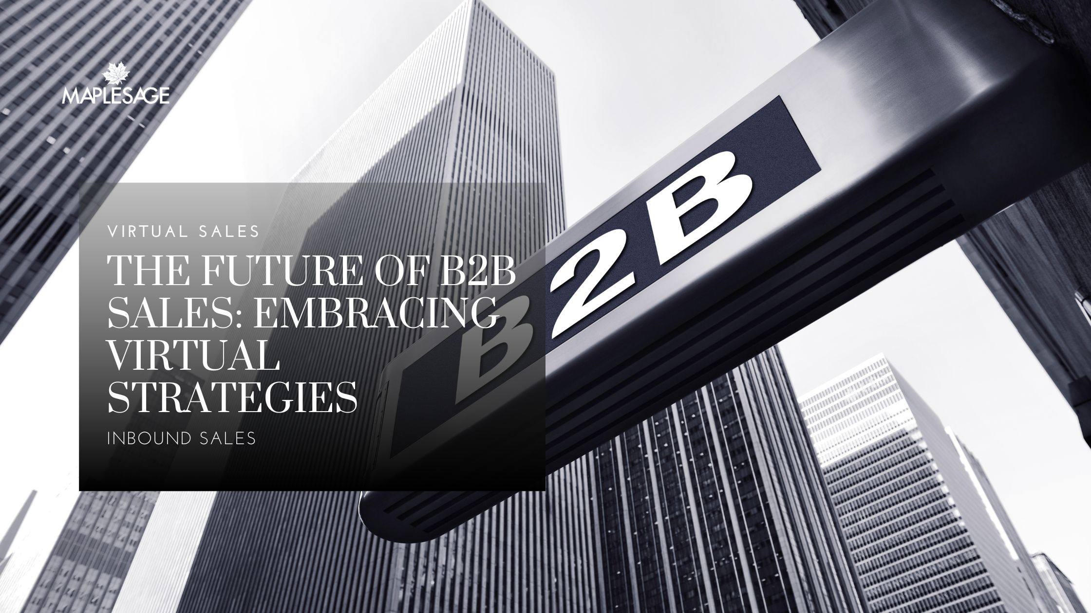 The Future of B2B Sales: Embracing Virtual Strategies